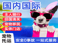西庆航空运输国际宠物托运 【国